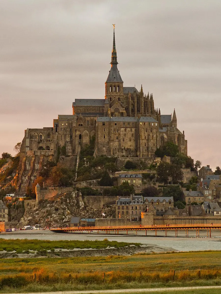 Diamond Transfert Disney